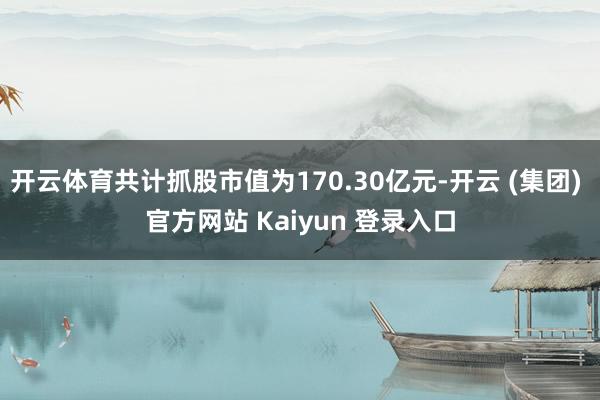 开云体育共计抓股市值为170.30亿元-开云 (集团) 官方网站 Kaiyun 登录入口