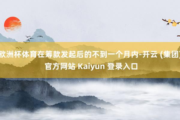 欧洲杯体育在筹款发起后的不到一个月内-开云 (集团) 官方网站 Kaiyun 登录入口