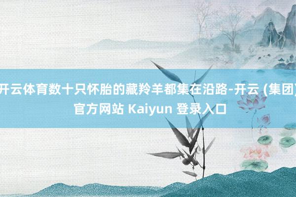 开云体育数十只怀胎的藏羚羊都集在沿路-开云 (集团) 官方网站 Kaiyun 登录入口