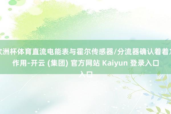 欧洲杯体育直流电能表与霍尔传感器/分流器确认着着急作用-开云 (集团) 官方网站 Kaiyun 登录入口