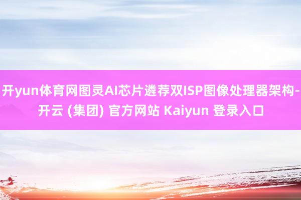 开yun体育网图灵AI芯片遴荐双ISP图像处理器架构-开云 (集团) 官方网站 Kaiyun 登录入口