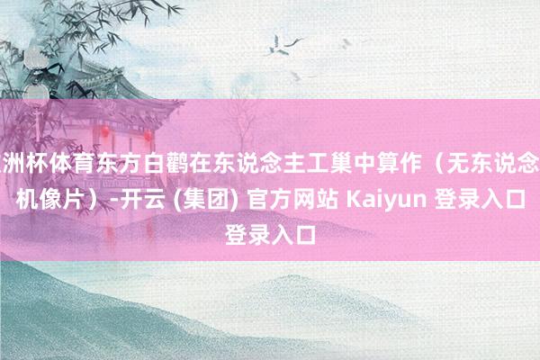 欧洲杯体育东方白鹳在东说念主工巢中算作（无东说念主机像片）-开云 (集团) 官方网站 Kaiyun 登录入口