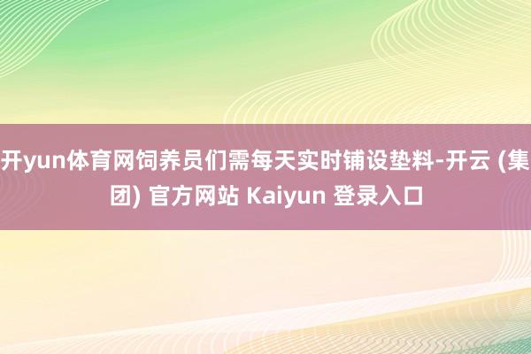 开yun体育网饲养员们需每天实时铺设垫料-开云 (集团) 官方网站 Kaiyun 登录入口