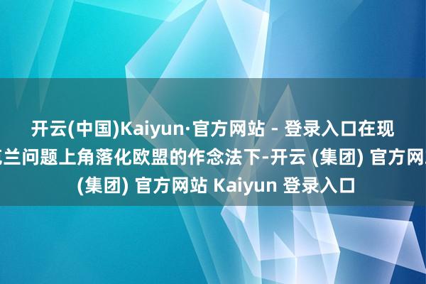 开云(中国)Kaiyun·官方网站 - 登录入口在现时特朗普政府在乌克兰问题上角落化欧盟的作念法下-开云 (集团) 官方网站 Kaiyun 登录入口