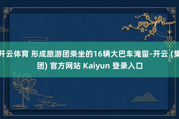 开云体育 形成旅游团乘坐的16辆大巴车淹留-开云 (集团) 官方网站 Kaiyun 登录入口