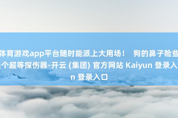 体育游戏app平台随时能派上大用场！  狗的鼻子险些是个超等探伤器-开云 (集团) 官方网站 Kaiyun 登录入口