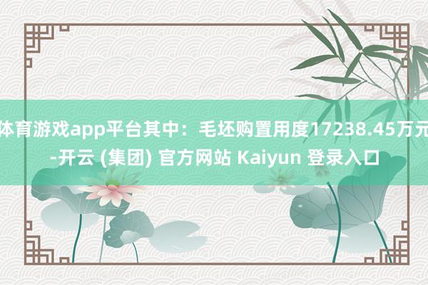 体育游戏app平台其中：毛坯购置用度17238.45万元-开云 (集团) 官方网站 Kaiyun 登录入口