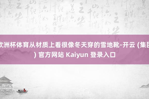 欧洲杯体育从材质上看很像冬天穿的雪地靴-开云 (集团) 官方网站 Kaiyun 登录入口
