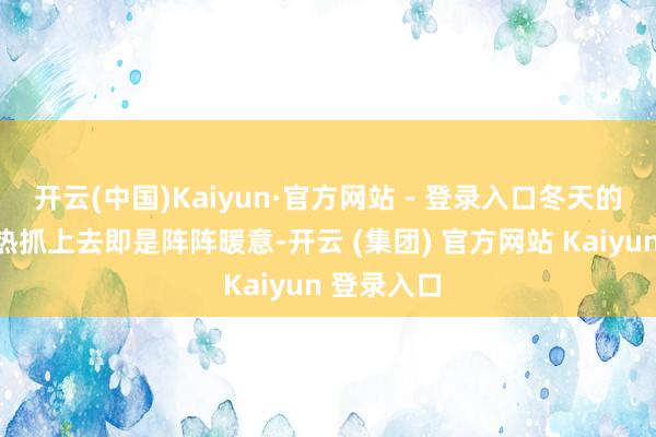 开云(中国)Kaiyun·官方网站 - 登录入口冬天的场所盘加热抓上去即是阵阵暖意-开云 (集团) 官方网站 Kaiyun 登录入口